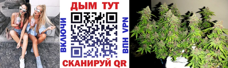 Купить где  Андреаполь  Конопля Amnesia 
